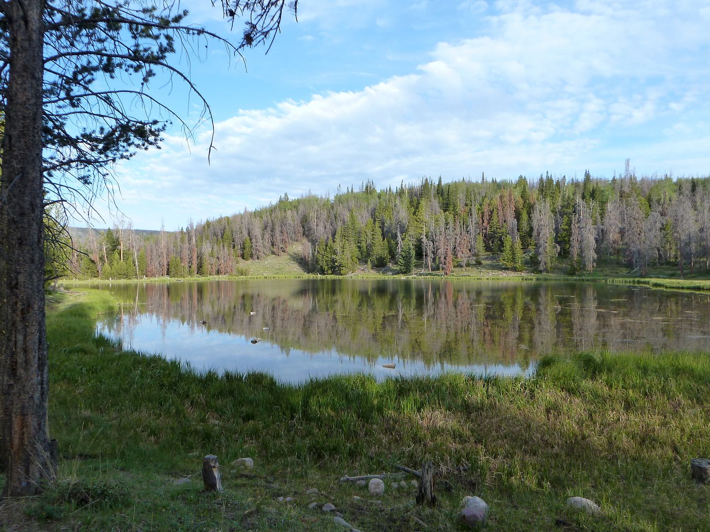 Around the uintas IAMC